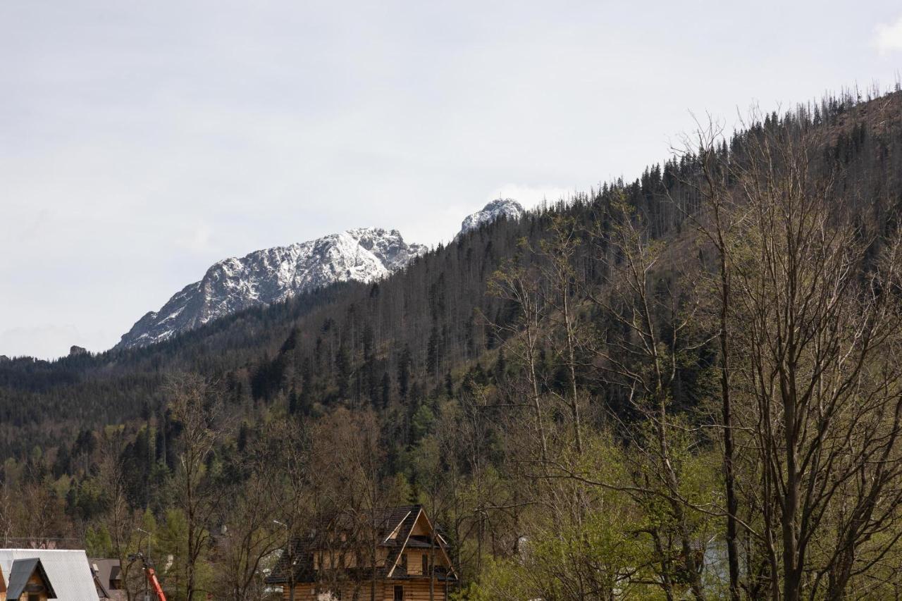 Dolina Resort Zakopane Koscielisko Bagian luar foto