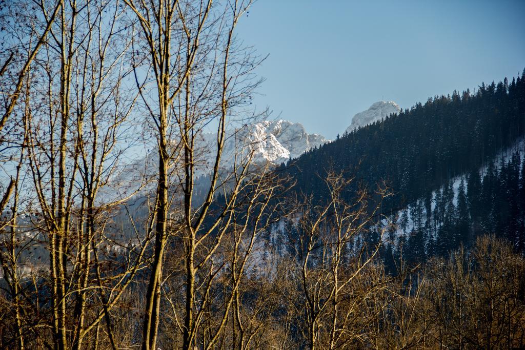 Dolina Resort Zakopane Koscielisko Ruang foto